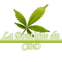 LA BOUTIQUE DU CBD VIGLAIN 